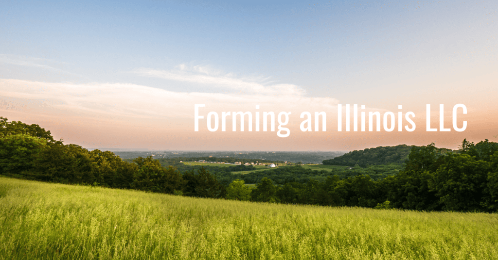 How to Start an LLC in Illinois Key Steps and Formation Costs